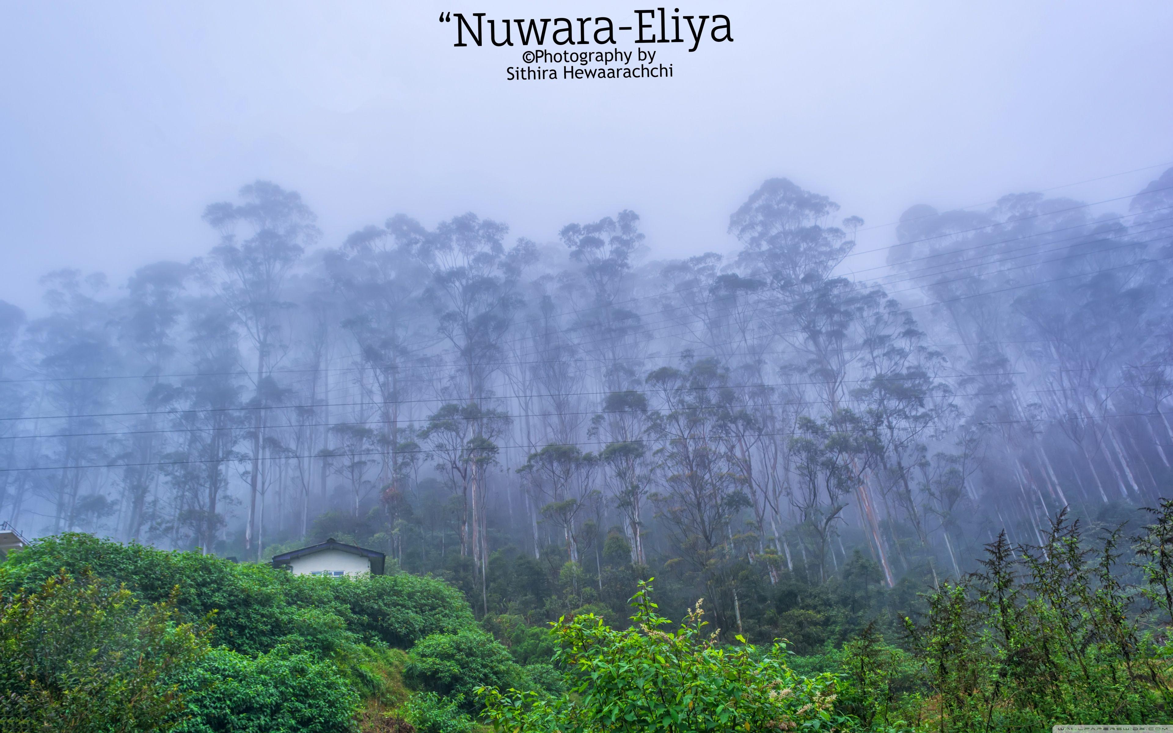 3840x2400 Nuwara Eliya Lanka ❤ 4K HD Desktop Wallpaper