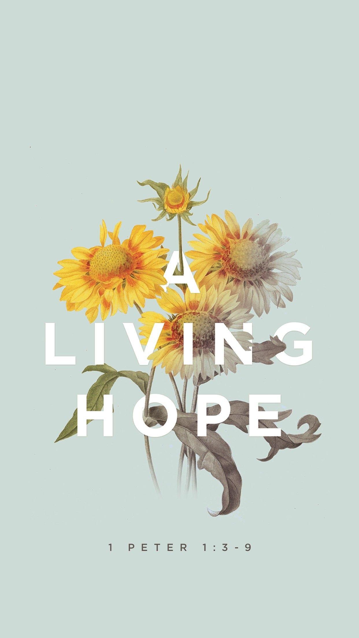1242x2208 Bible Scriptures Wallpaper