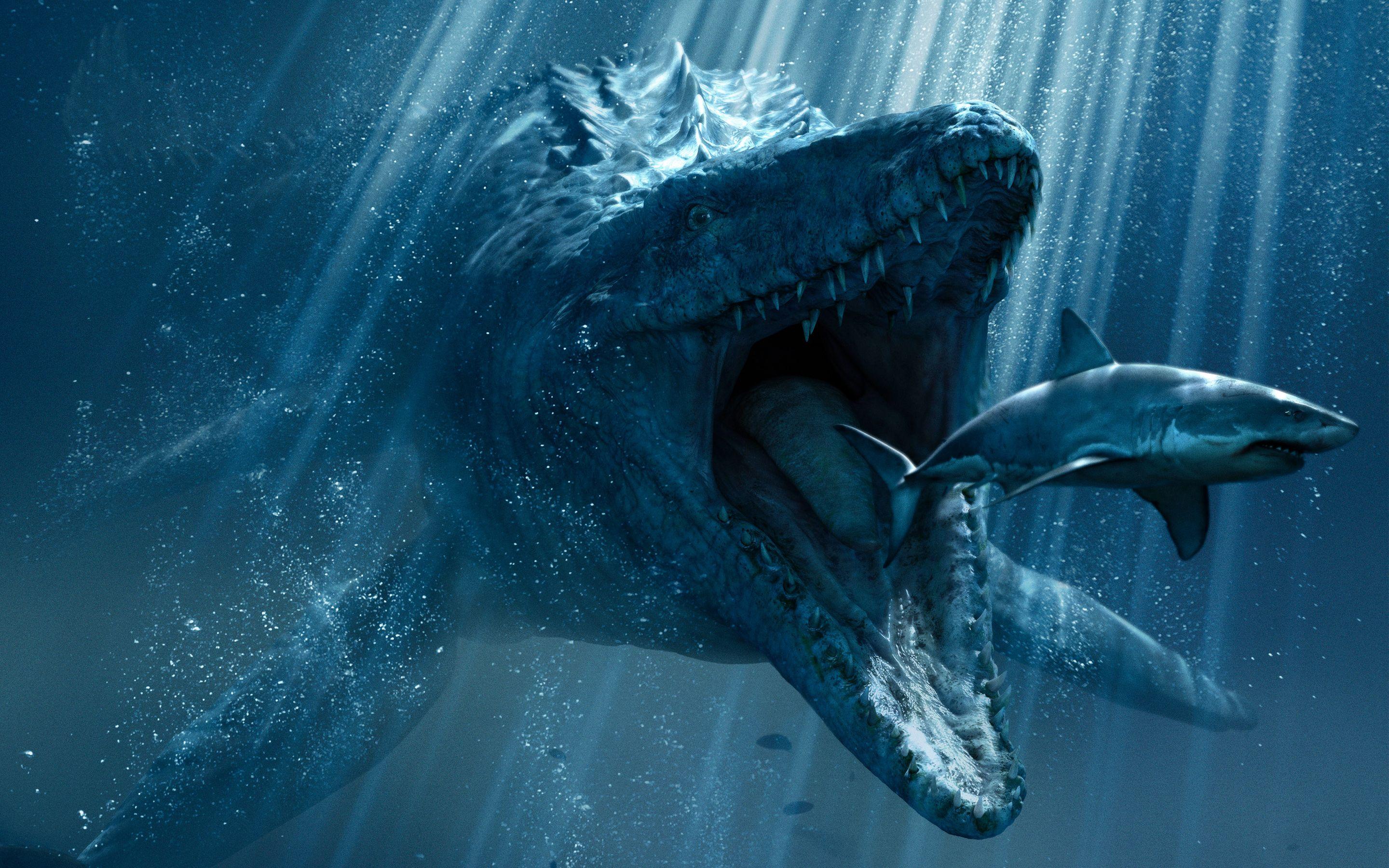 2880x1800 Underwater Wallpaper 7 X 1800