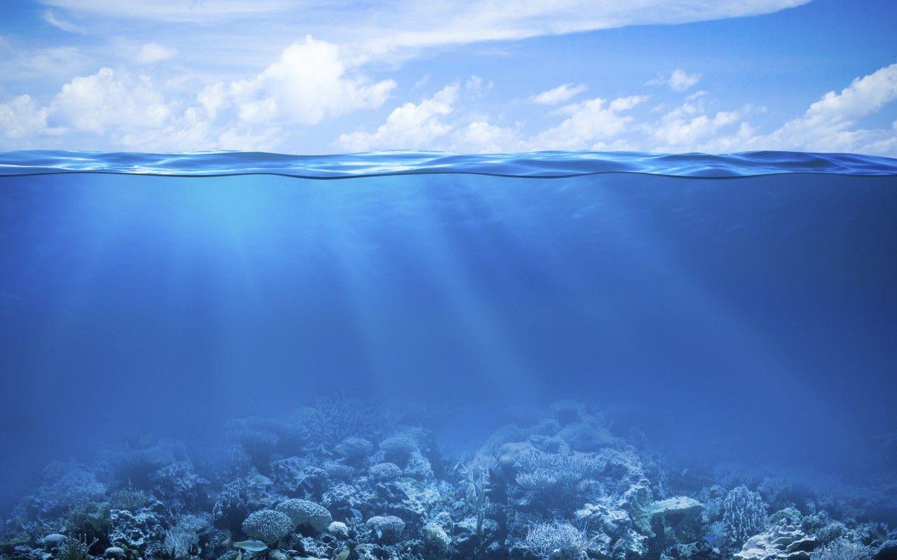 1280x800 Wallpaper Coral Reef, Under the Sea, Underwater, HD, 4K