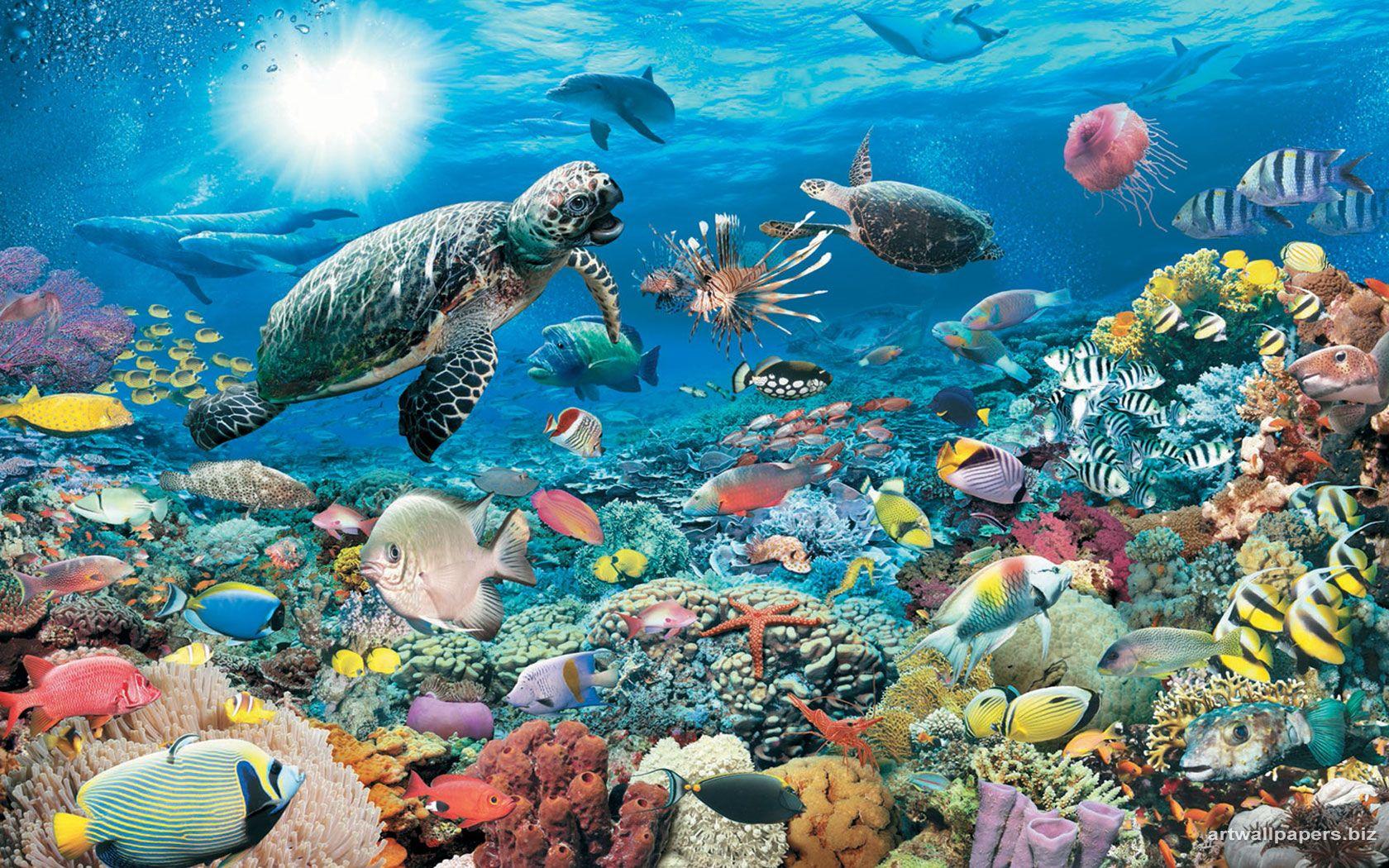 1680x1050 Under Water Wallpaper Wallpaper 1680x1050