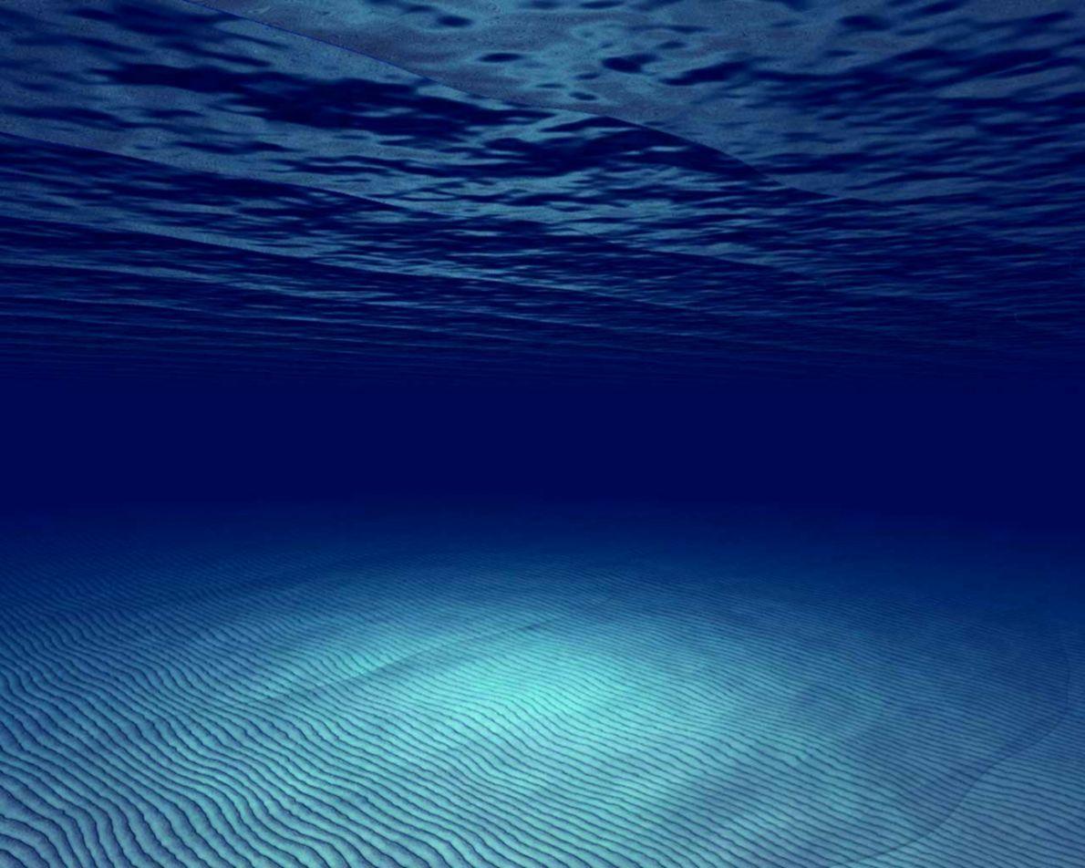 1190x952 Underwater Wallpaper. One plus Wallpaper
