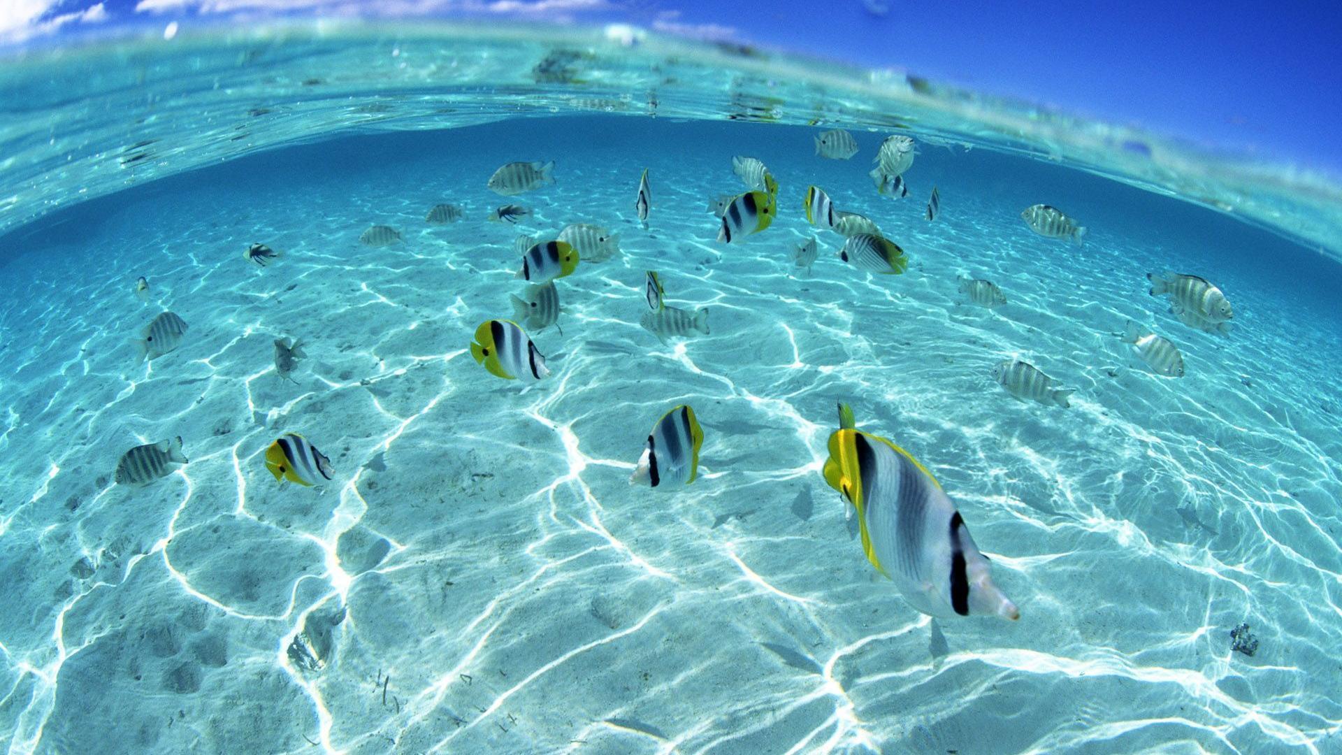 1920x1080 Underwater Wallpaper 1920x E1RT9P