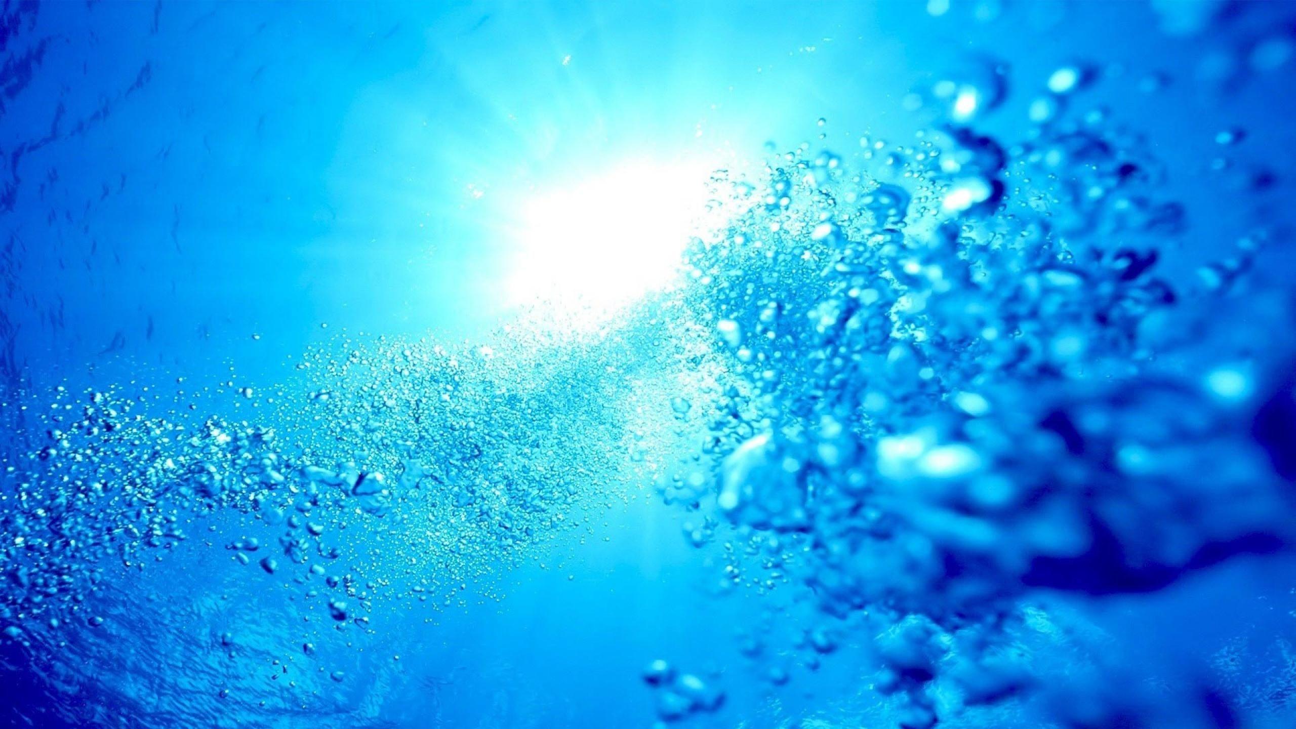 2560x1440 Underwater HD Wallpaper