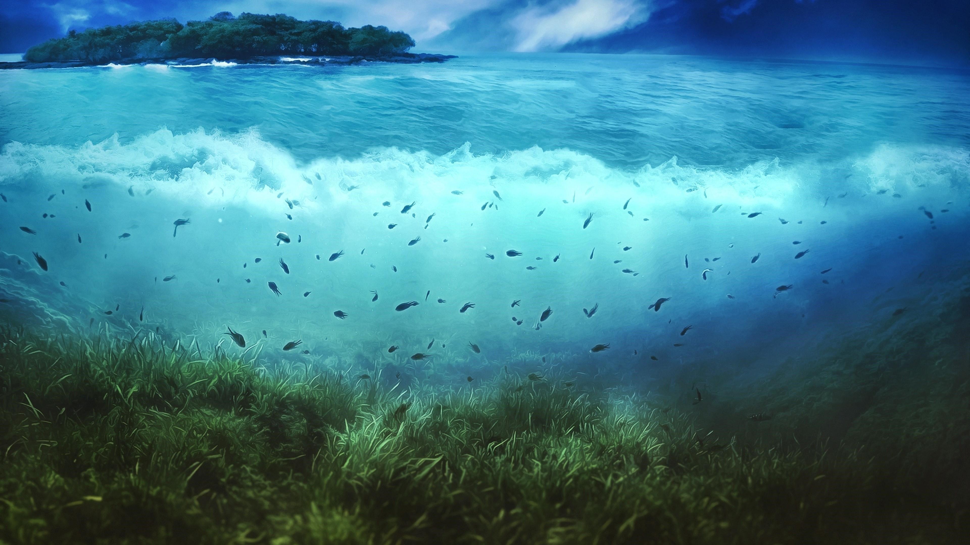 3840x2160 Underwater Wallpaper Wallpaper Download Resolution