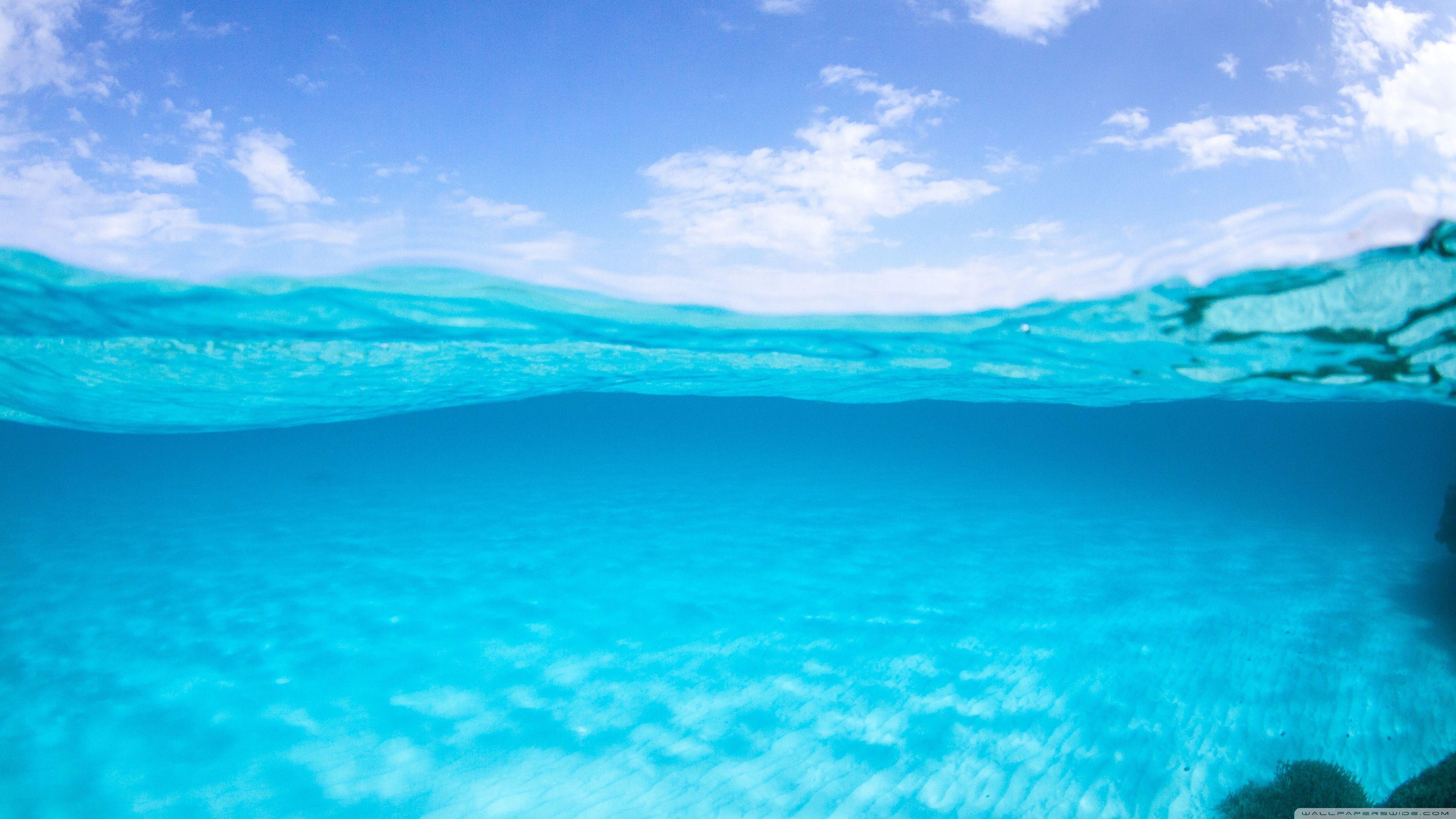 3554x1999 Half Underwater, Half Above ❤ 4K HD Desktop Wallpaper