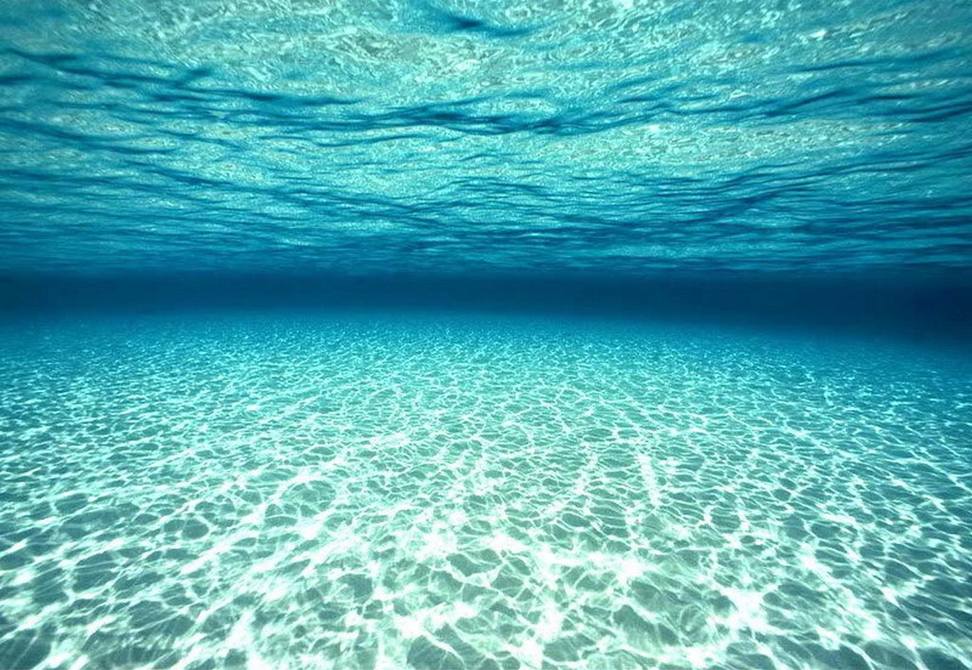 1393x961 Under Water Wallpaper Wallpaper 1393x961