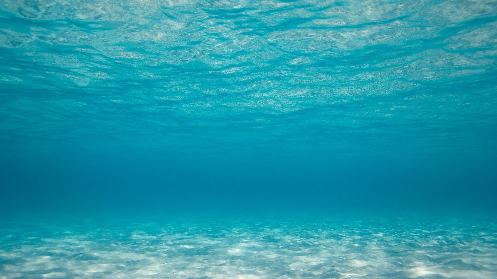 1920x1080 Underwater Wallpaper