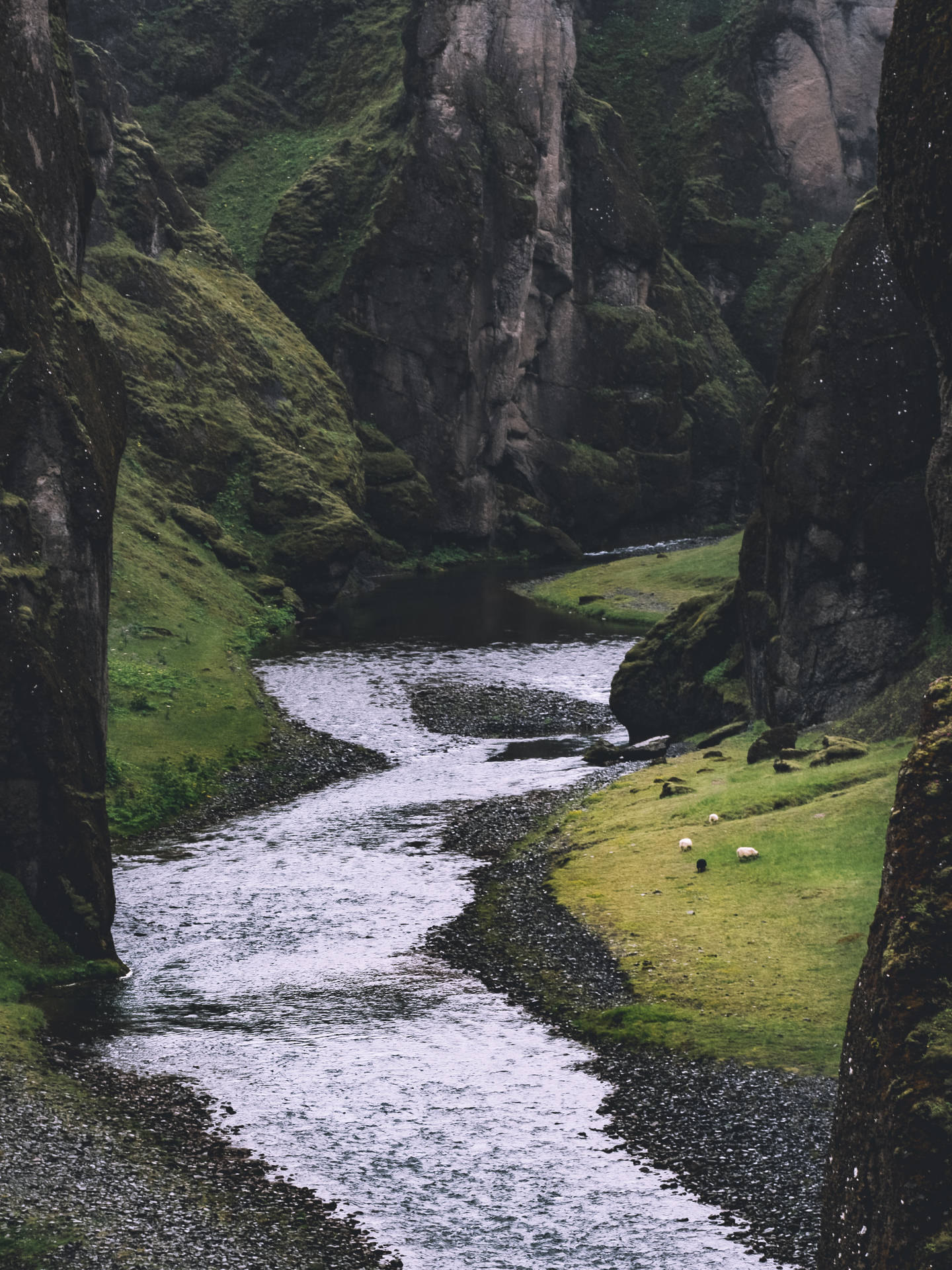 1440x1920 Download Lord Of The Rings Wallpaper