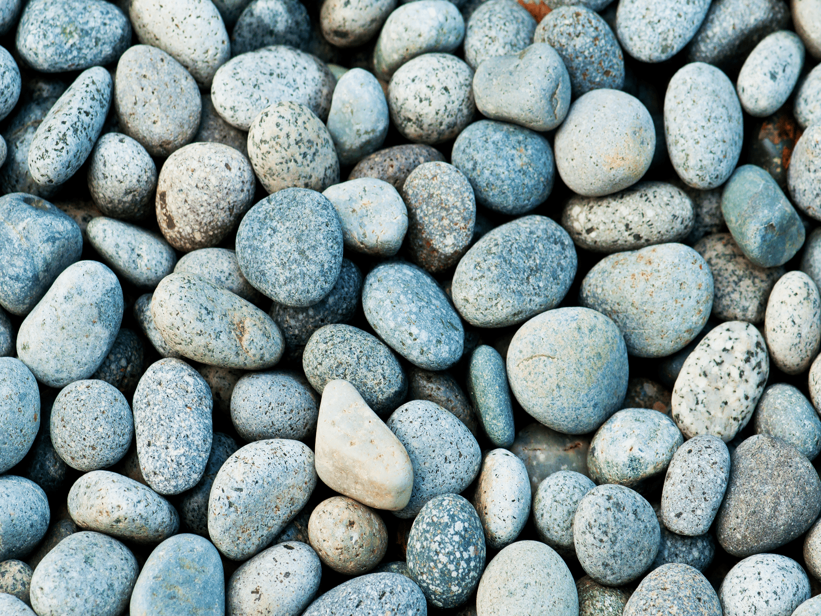1600x1200 Blue Gray Beach Stones wallpaper. Stone wallpaper, Beach stones
