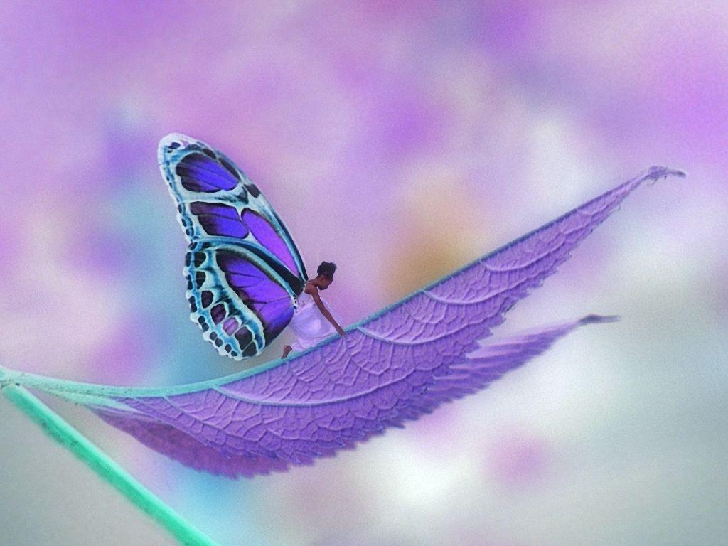 1024x768 Free download Purple Fairy Wallpaper Desk Cool