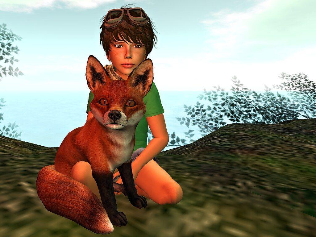 1024x768 The Little Prince Fox Wallpaper The Galleries of HD Wallpaper