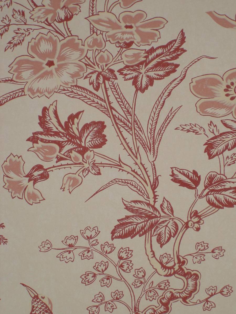 900x1197 Wallpaper MUSCAT Cherry