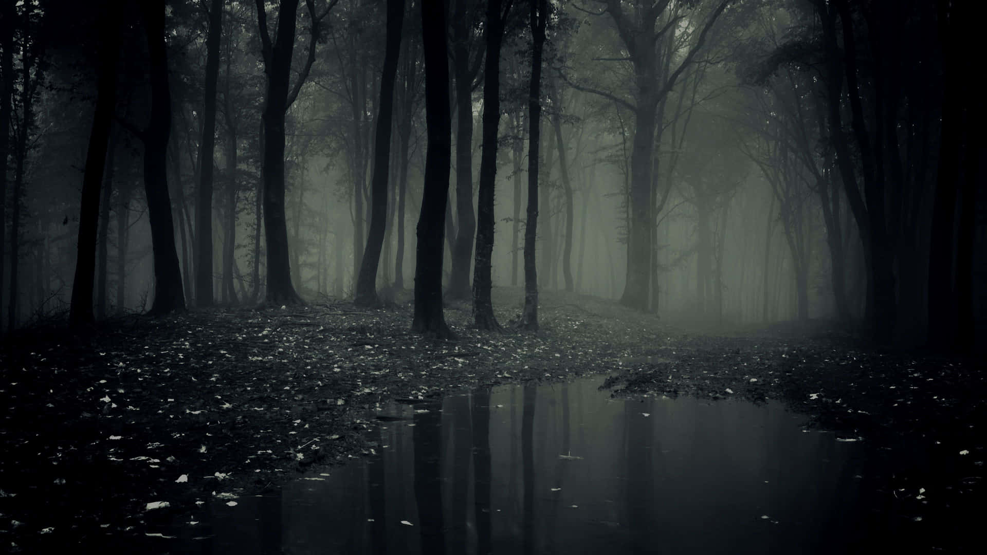 1920x1080 Really Scary Wallpaper