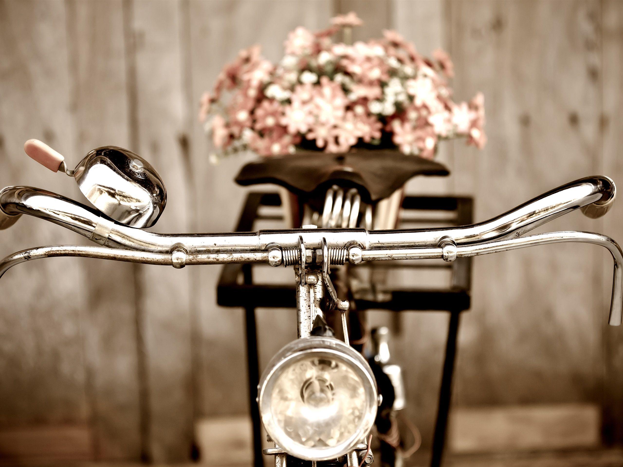 2560x1920 Wallpaper Retro bike, flowers 3840x2160 UHD 4K Picture, Image