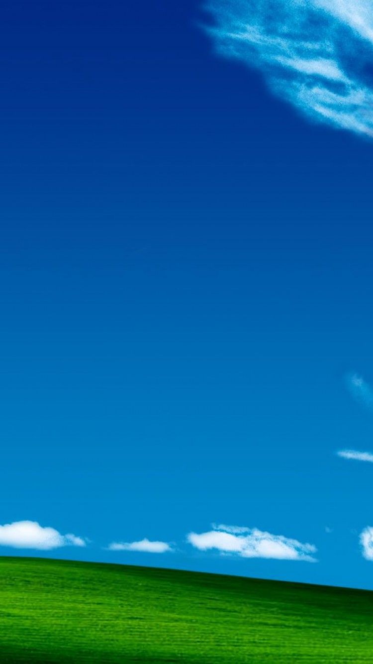 750x1334 Windows XP Phone Wallpaper