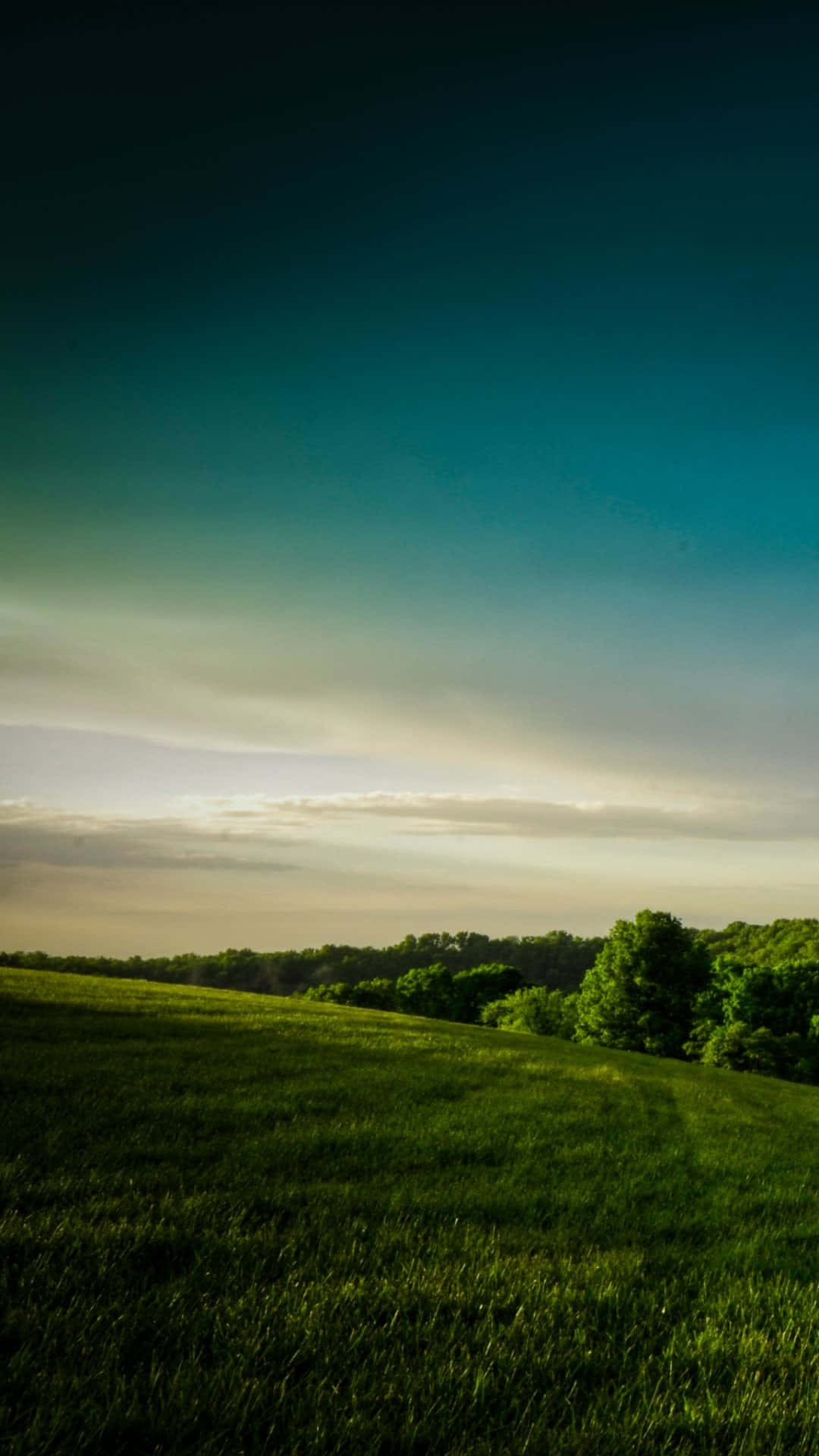 1080x1920 Texas on your iPhone Wallpaper