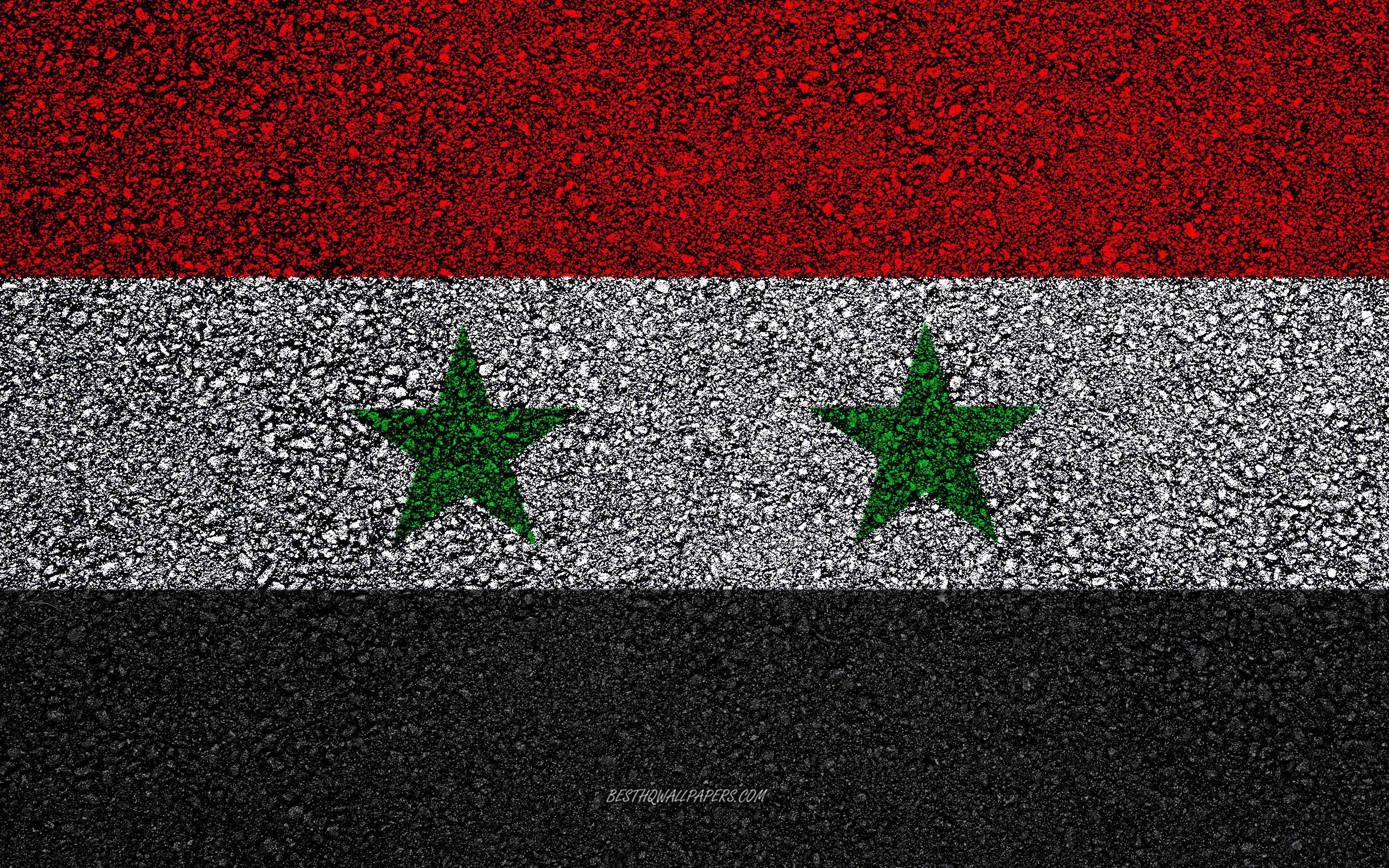 2880x1800 Download wallpaper Flag of Syria, asphalt texture, flag