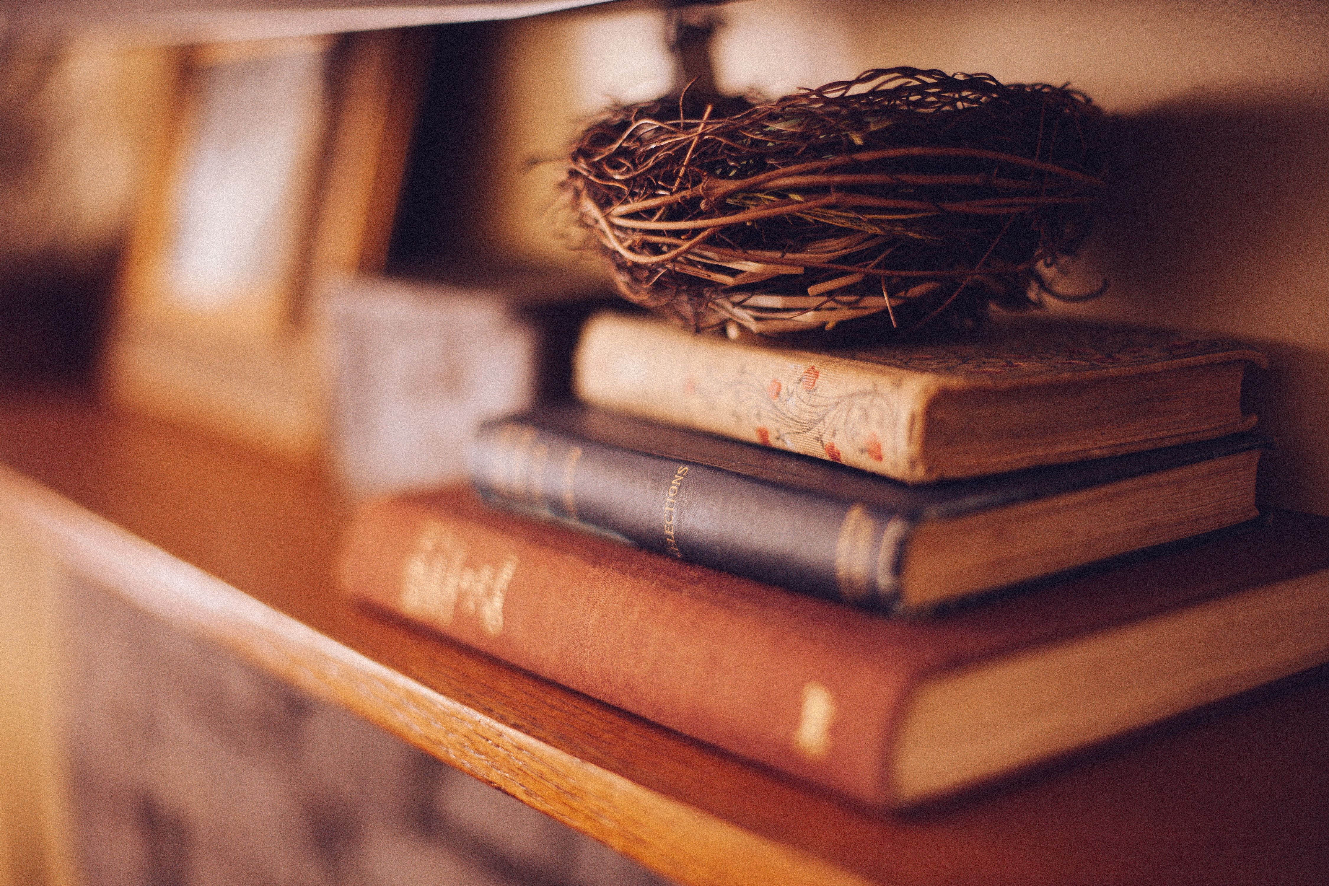 4500x3000 book pile topped with bird nest