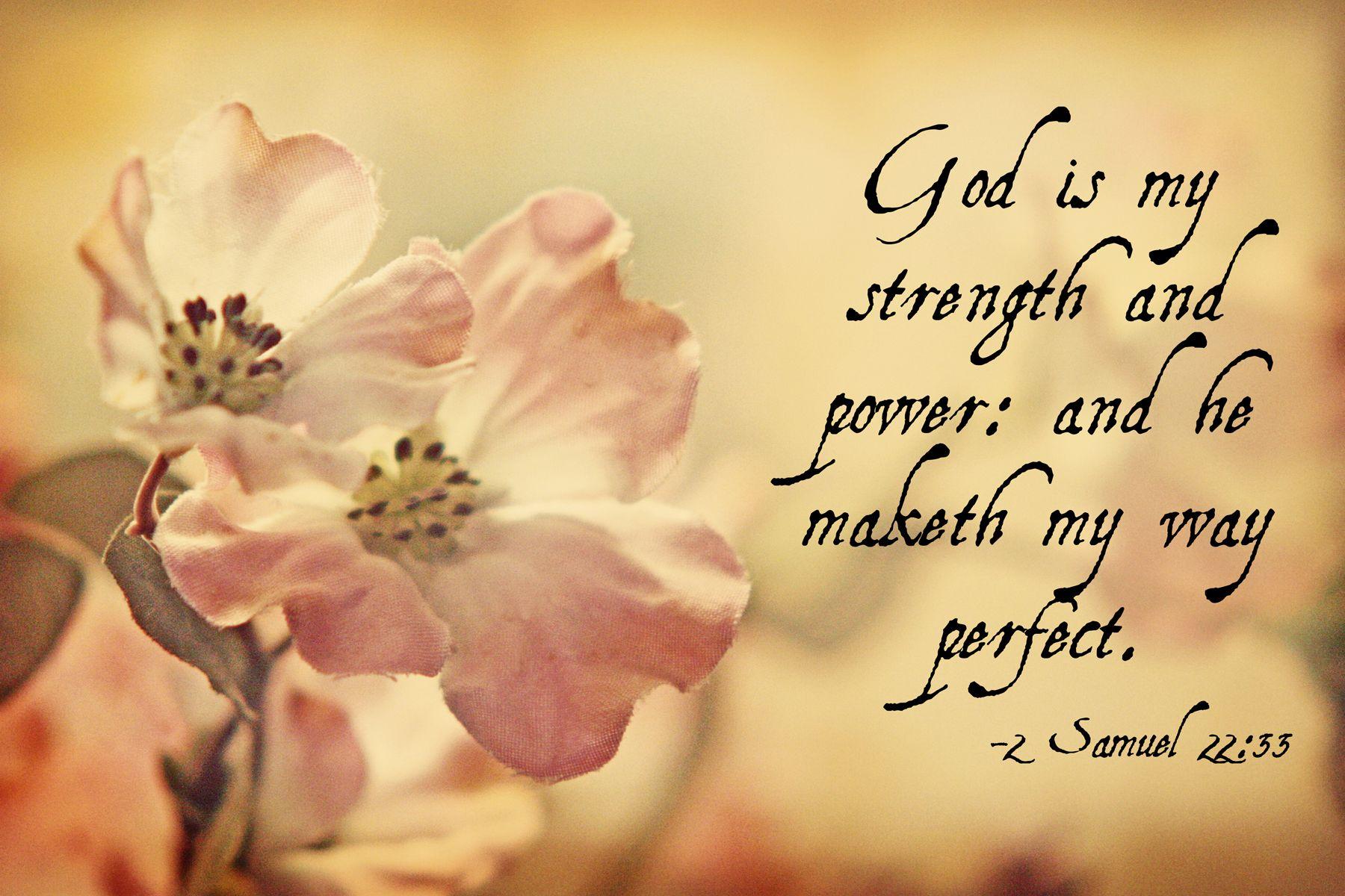 Bible Quotes Wallpapers Top Free Bible Quotes Backgrounds 