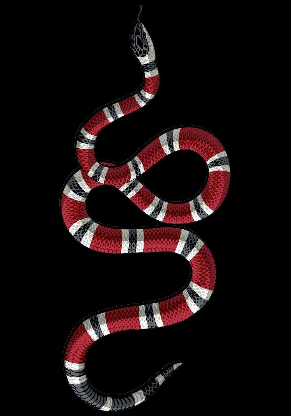 Red Snake Wallpapers - Top Free Red Snake Backgrounds - WallpaperAccess