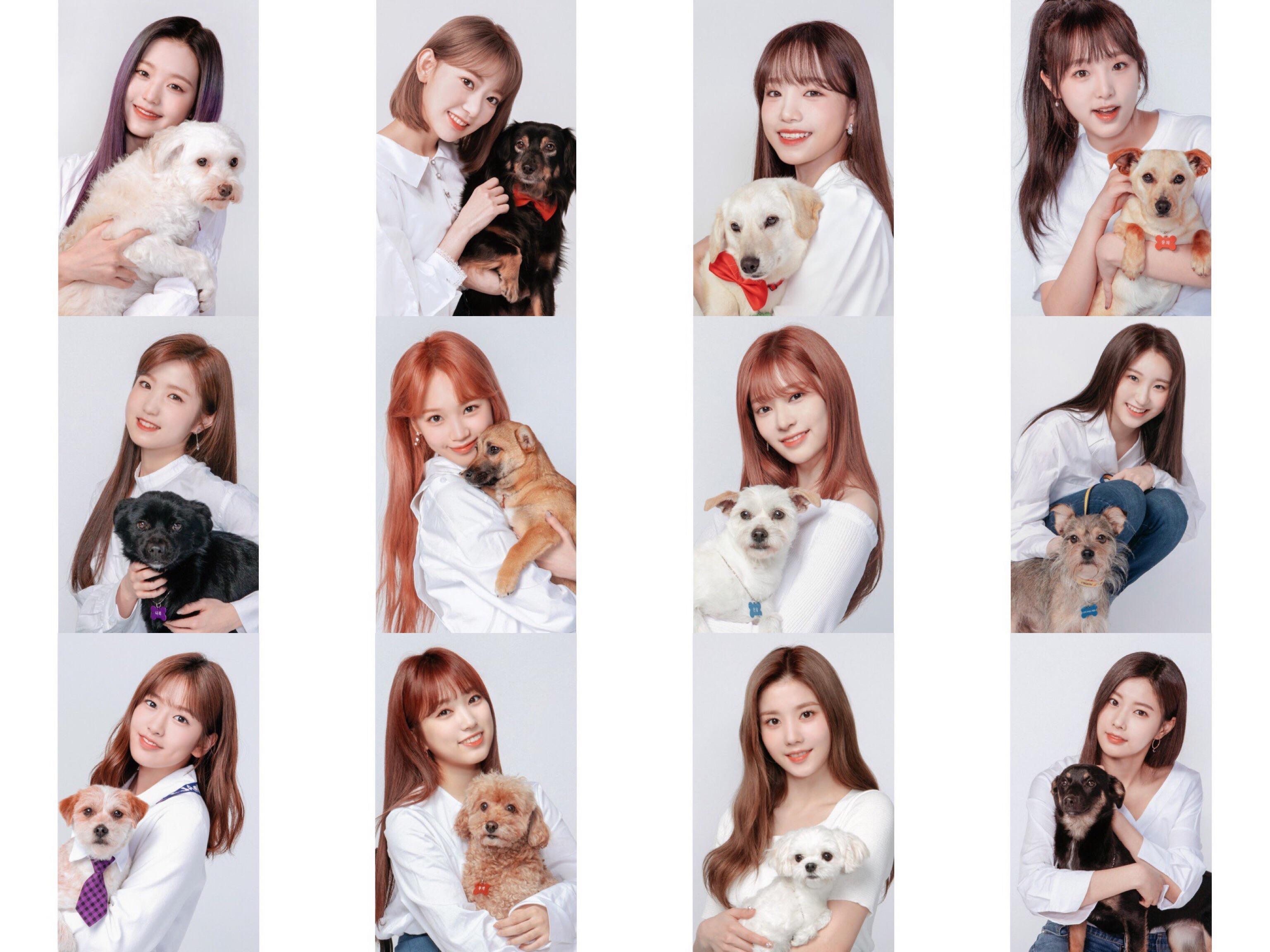 3072x2304 IZ*ONE X Puppy Collaboration Solo Photo