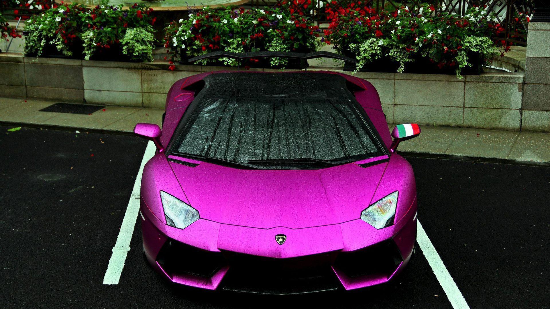 Purple Lambo Wallpapers - Wallpaper Cave