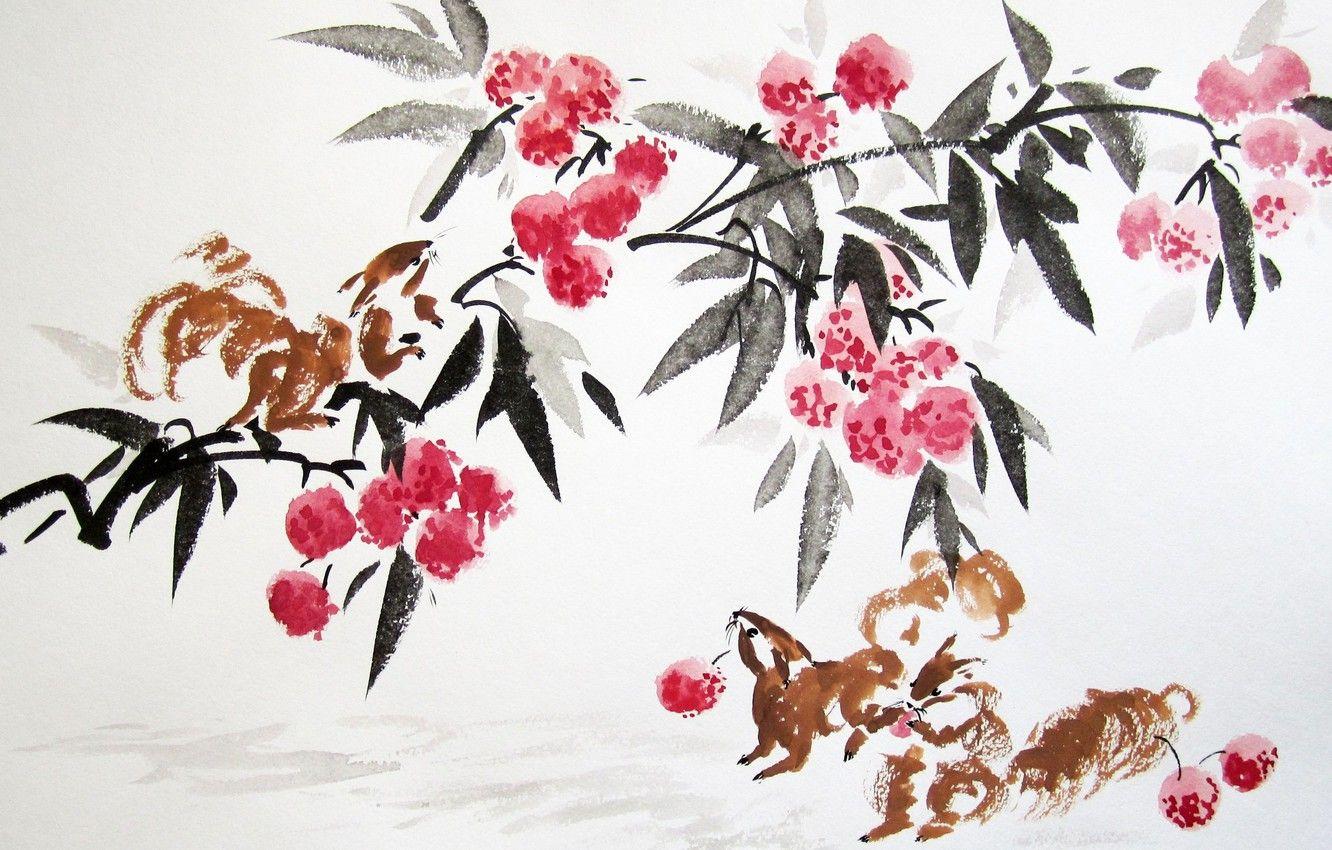 1332x850 Wallpaper tree, China, fruit, watercolor, China, painting, tree, painting, fruits, proteins, lychee, squirrels, watercolor, lichee image for desktop, section живопись
