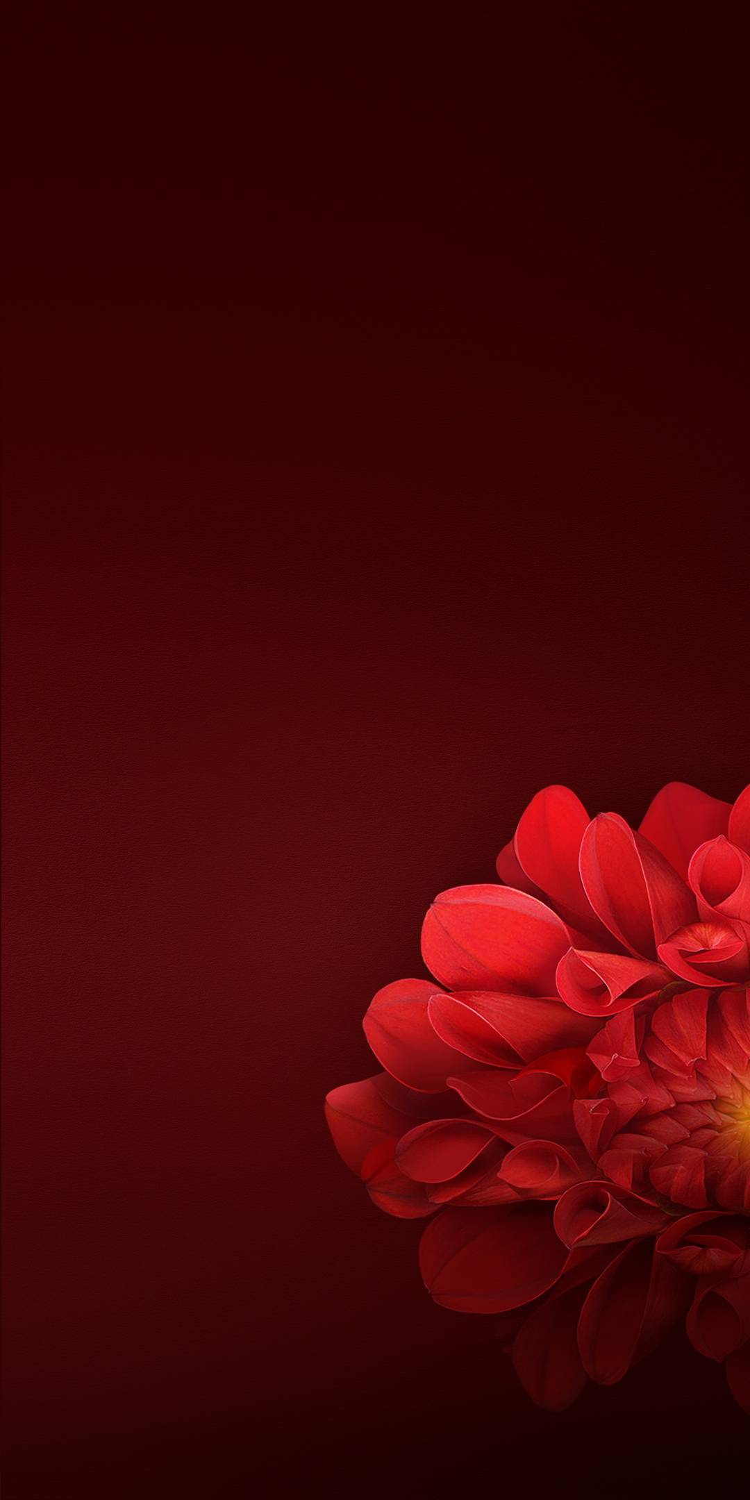 1080x2160 Oppo Realme Stock Hình nền 09 - [1080x2160)
