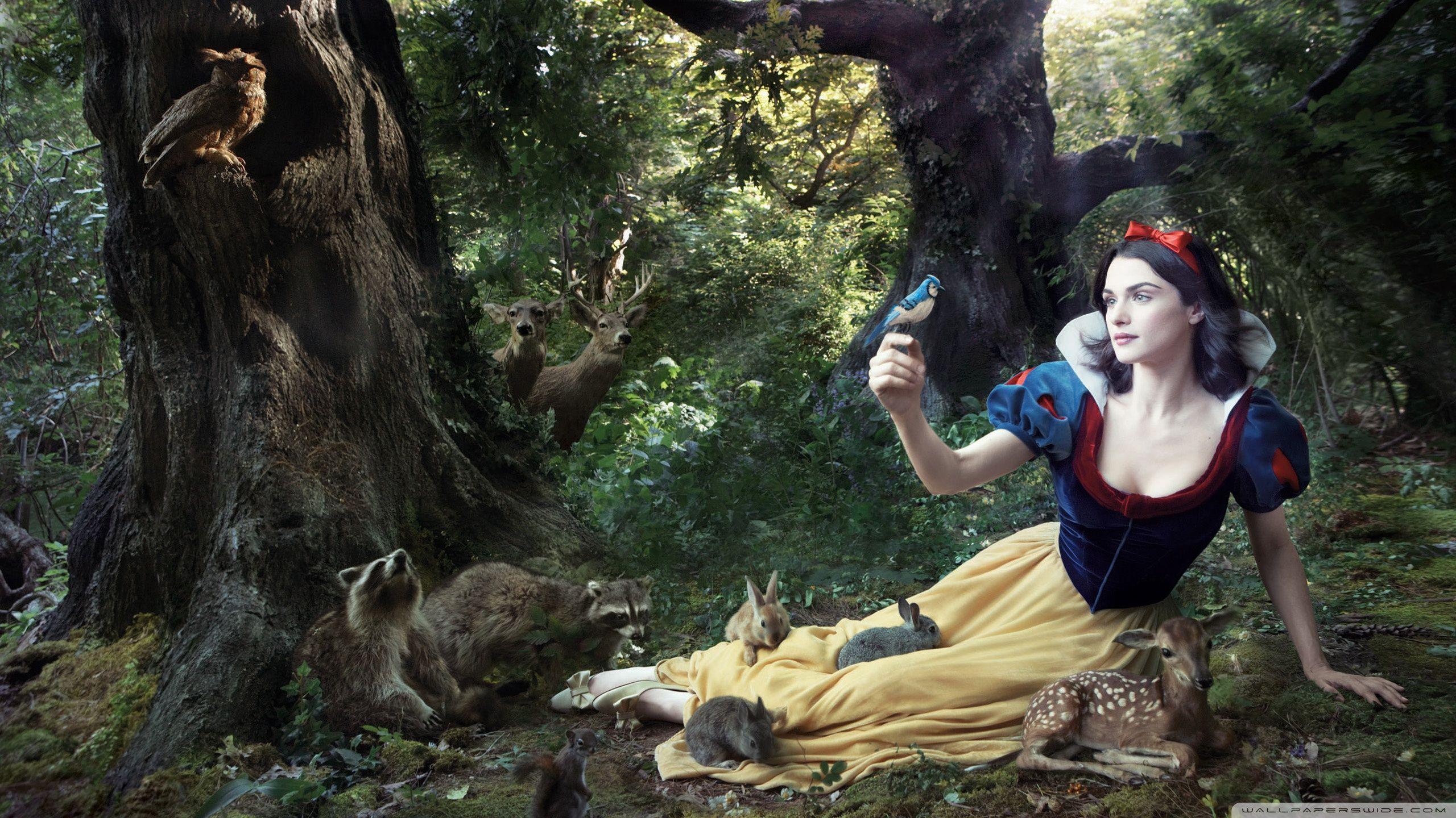 2560x1440 Snow White ❤ 4K HD Desktop Wallpaper for 4K Ultra HD TV