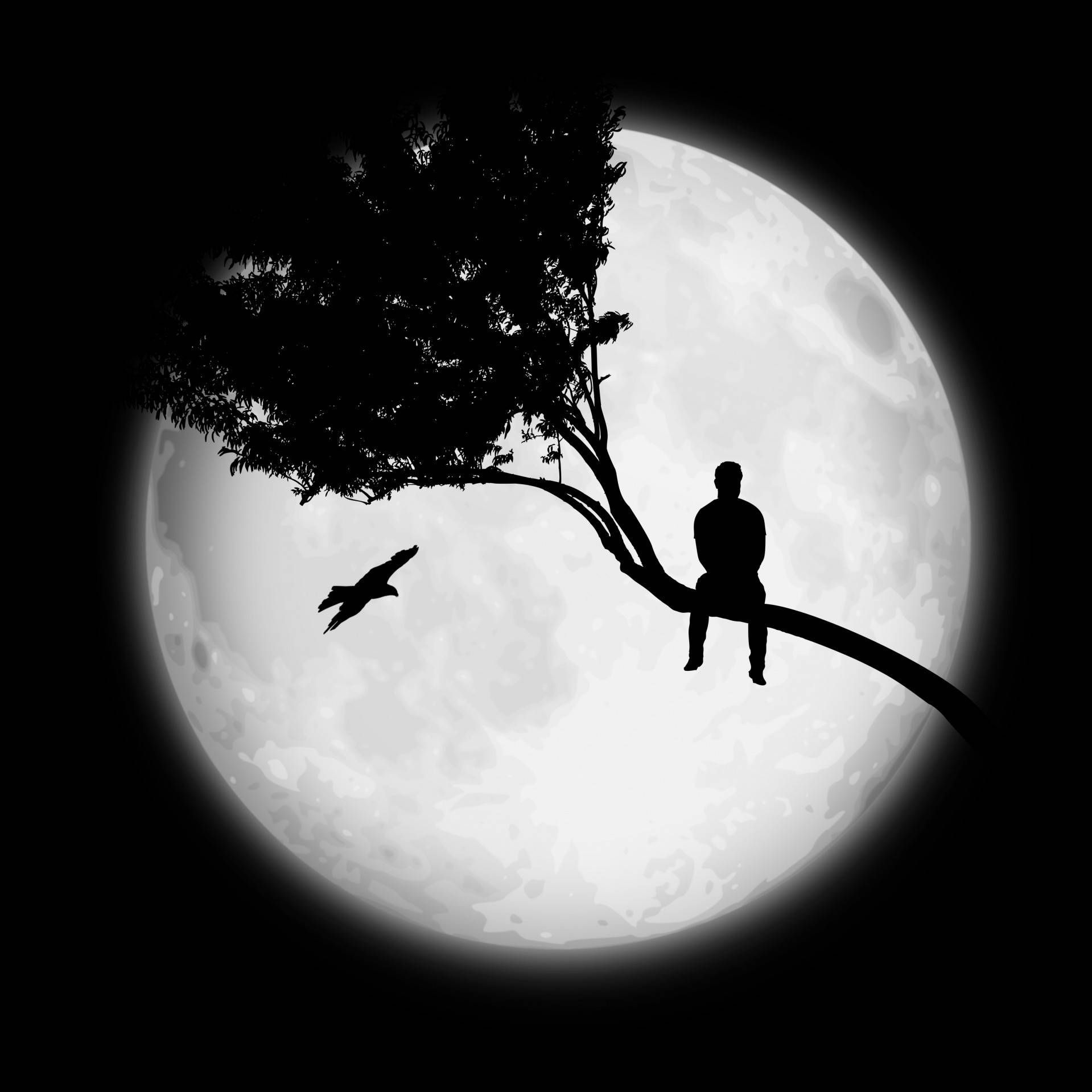 1919x1919 Download Man Alone On A Tree Wallpaper