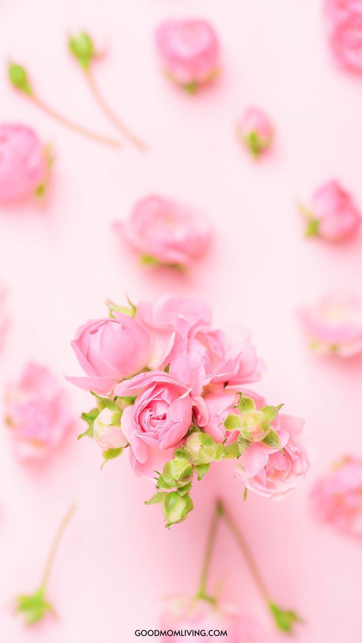 Soft Pink Aesthetic Wallpapers - Top Free Soft Pink Aesthetic