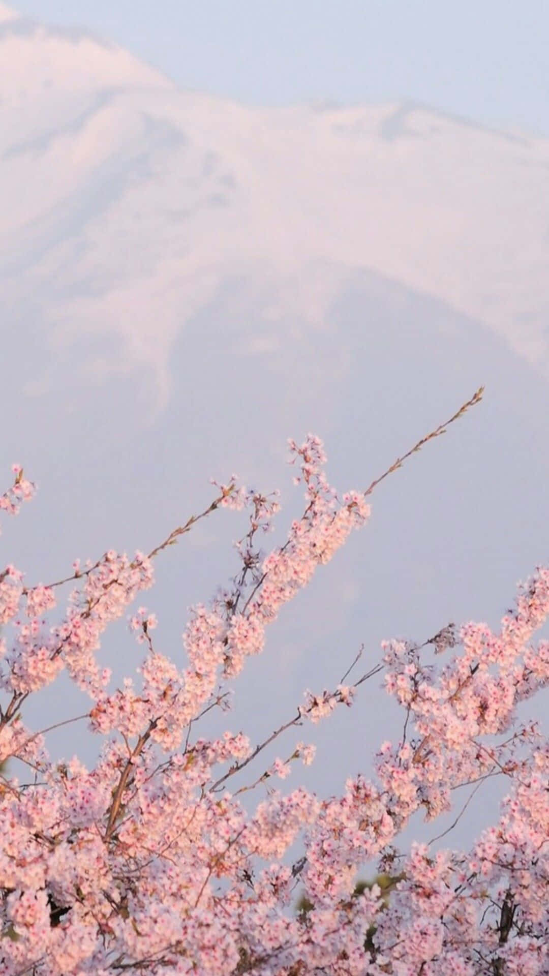 1080x1920 ethereal #pinkaesthetic Wallpaper