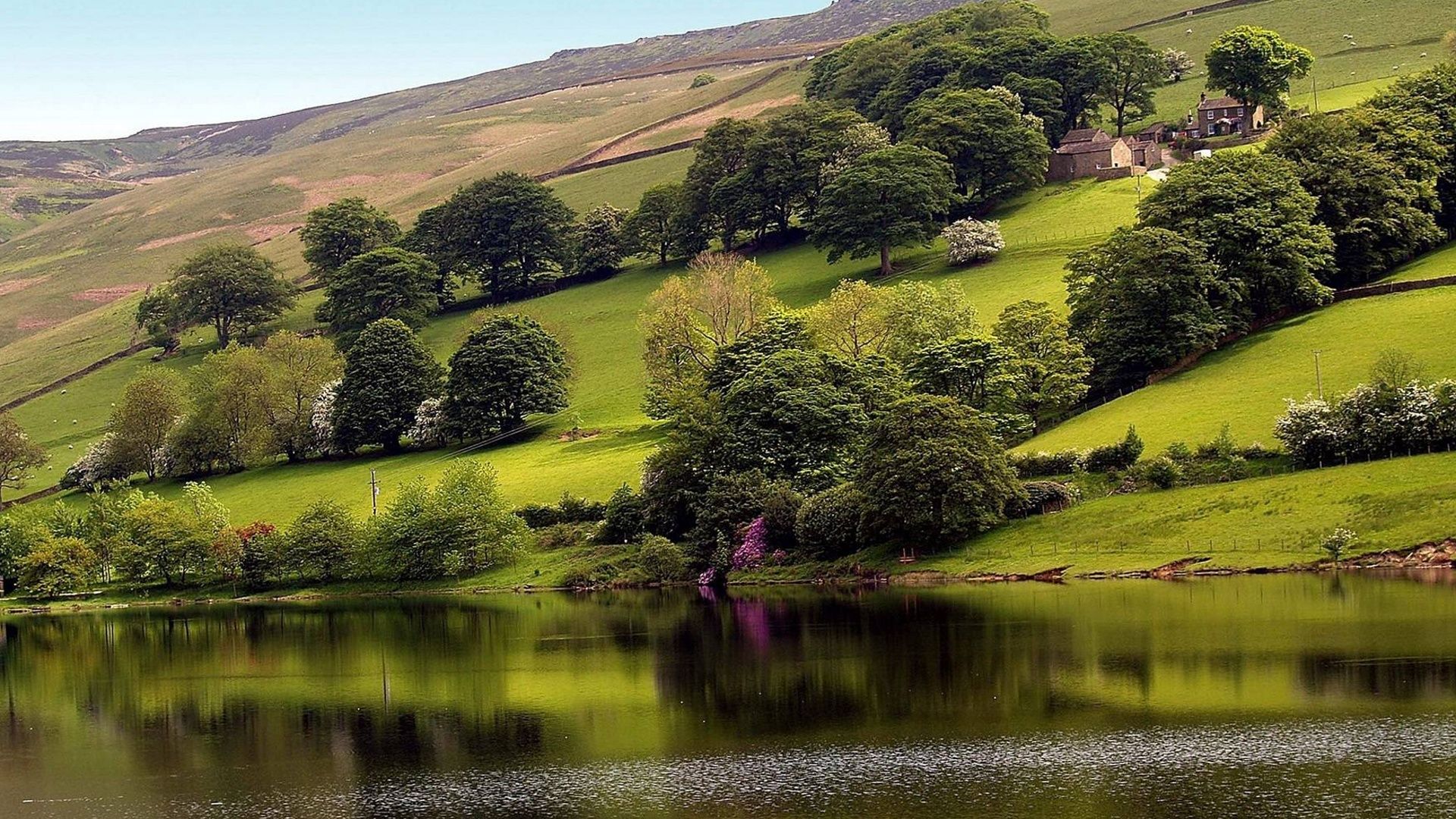 1920x1080 Nature [1920x1080]