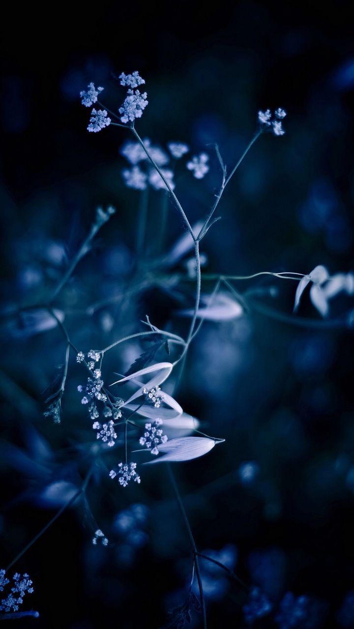 720x1280 Cool Samsung Galaxy Wallpaper 28386 720x1280px