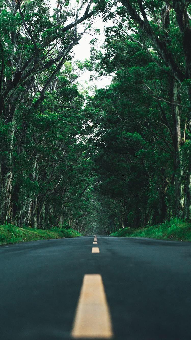 750x1334 NaturE. Nature wallpaper. Nature wallpaper