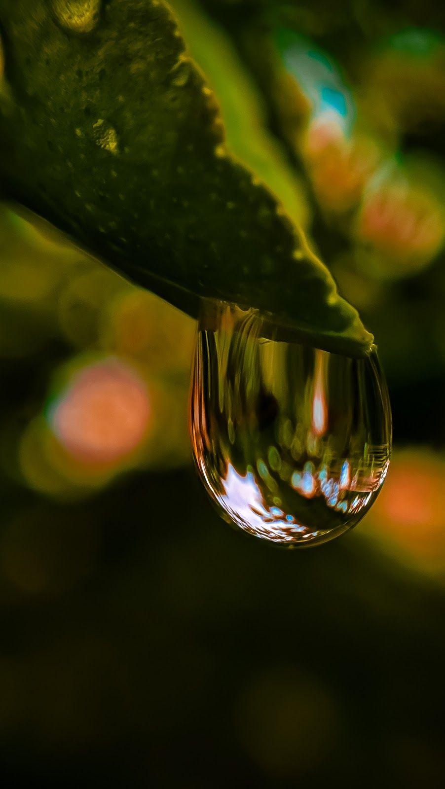 902x1600 COOL FREE HD wallpaper for mobile 1920x1080