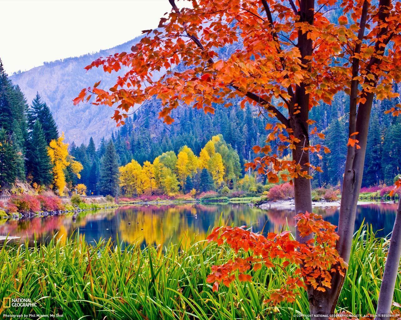1280x1024 Fall Foliage Wallpaper For Desktop