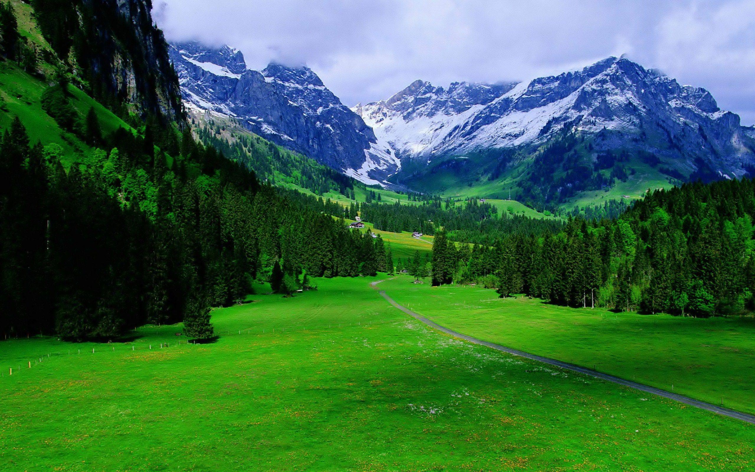 2560x1600 Alps Mountain Wallpaper and Background Image