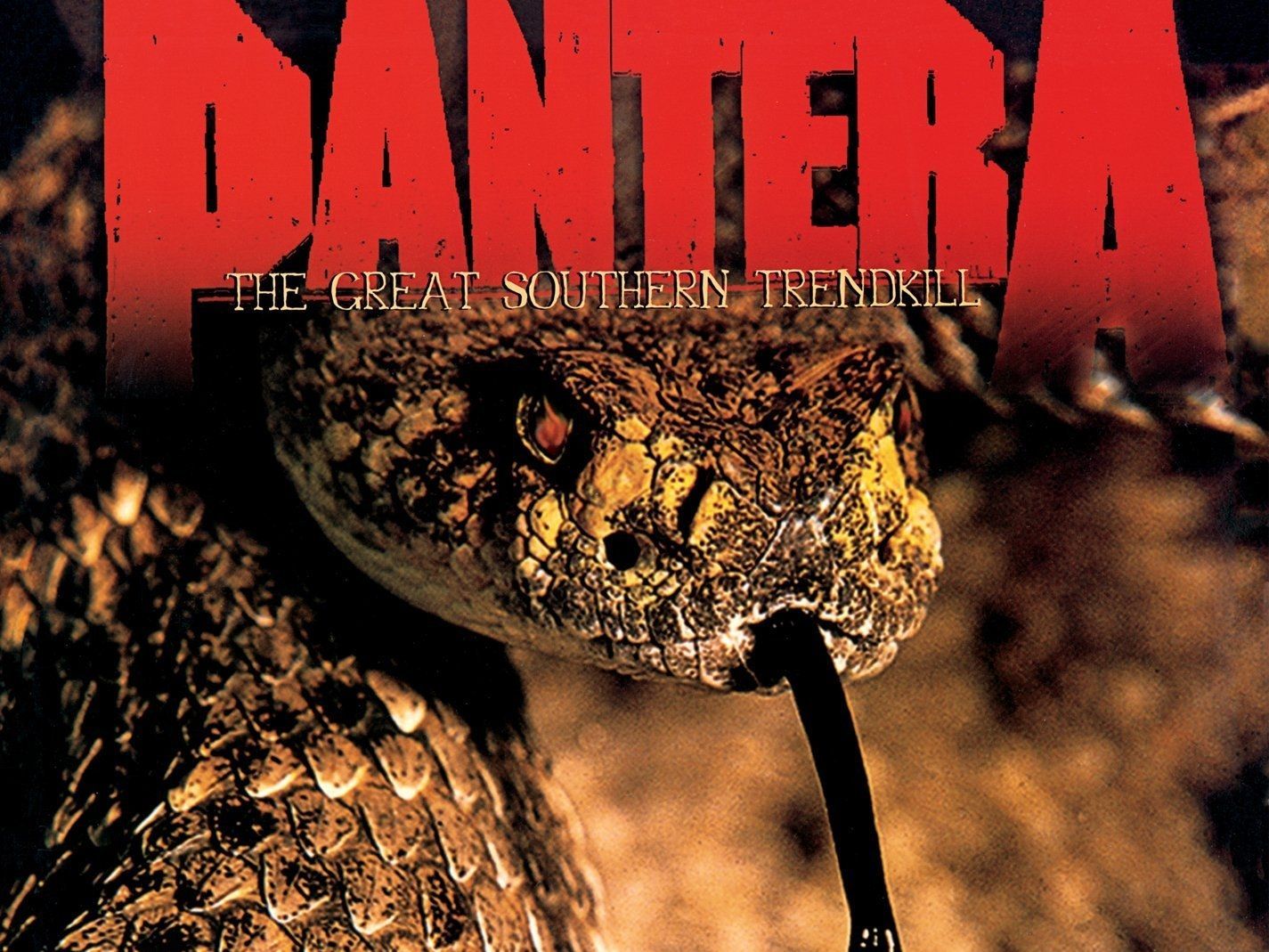 1425x1069 Pantera wallpaper for desktop