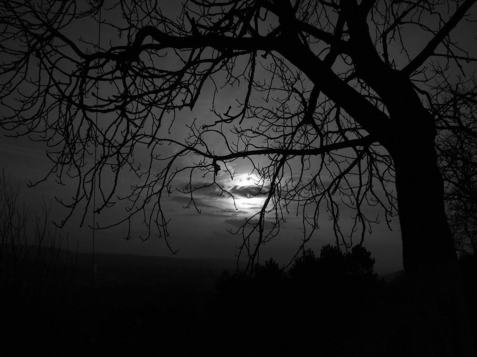 Featured image of post View 10 Fondos De Pantalla Sad Para Computadora