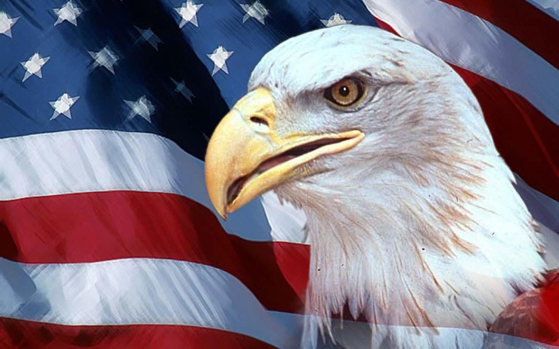1920x1200 Eagles flags usa american flag birds wallpaper