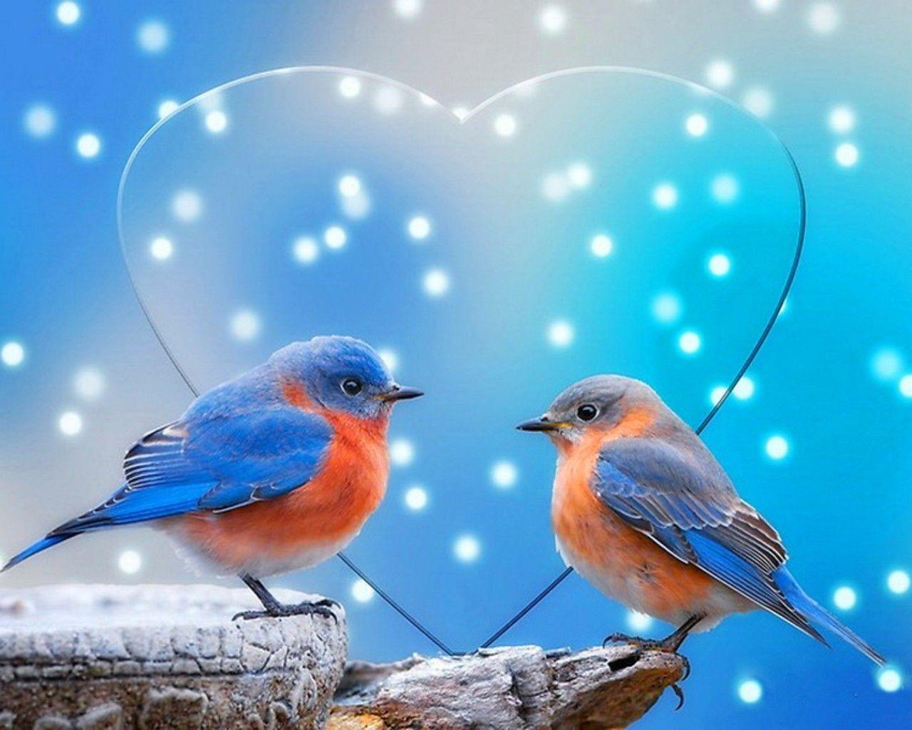 1280x1024 Download 1280x1024 Blue snow love birds hart 1280x1024 wallpaper