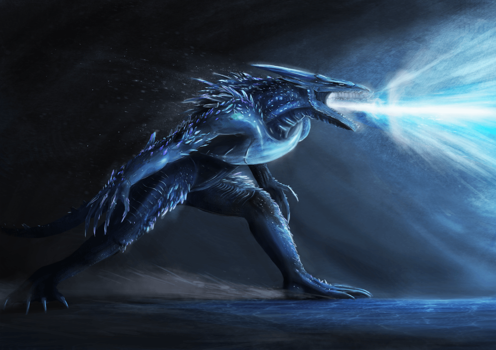 1600x1131 Dragon elements of dark souls 2: Enchanted