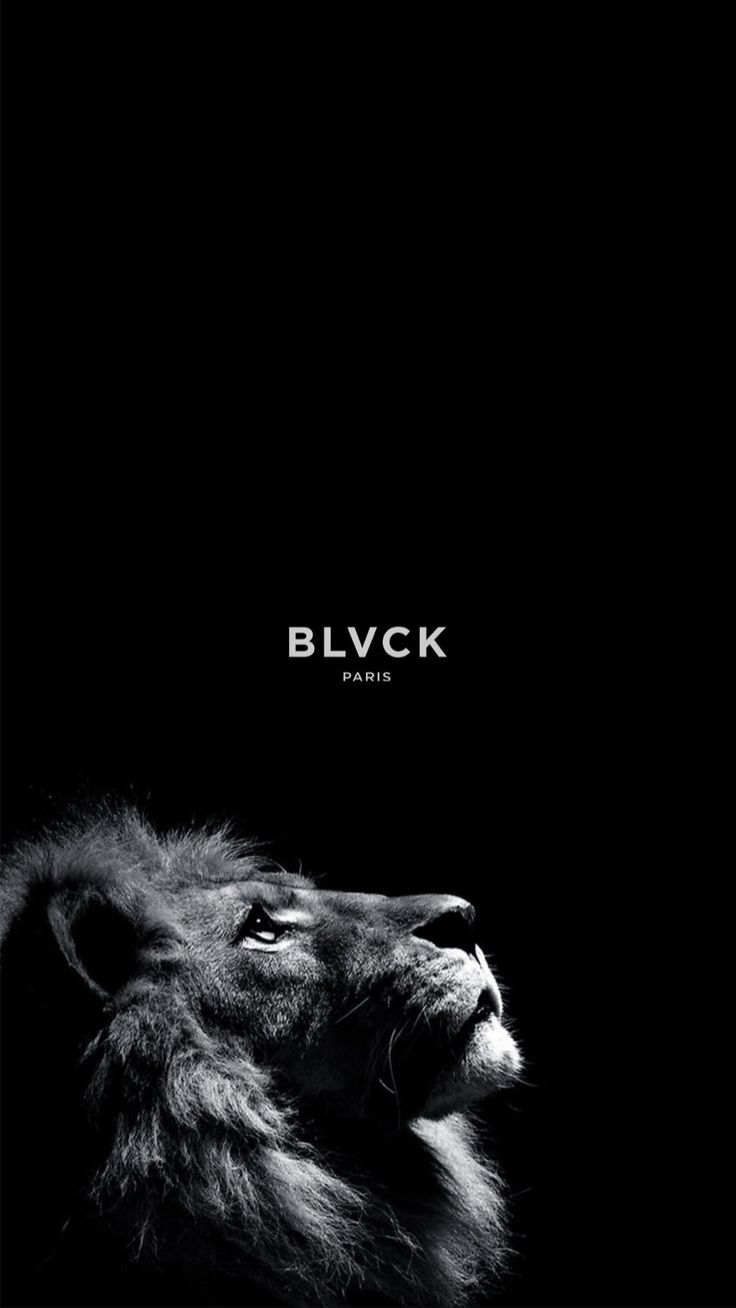 736x1308 Dark wallpaper iphone, Lion wallpaper