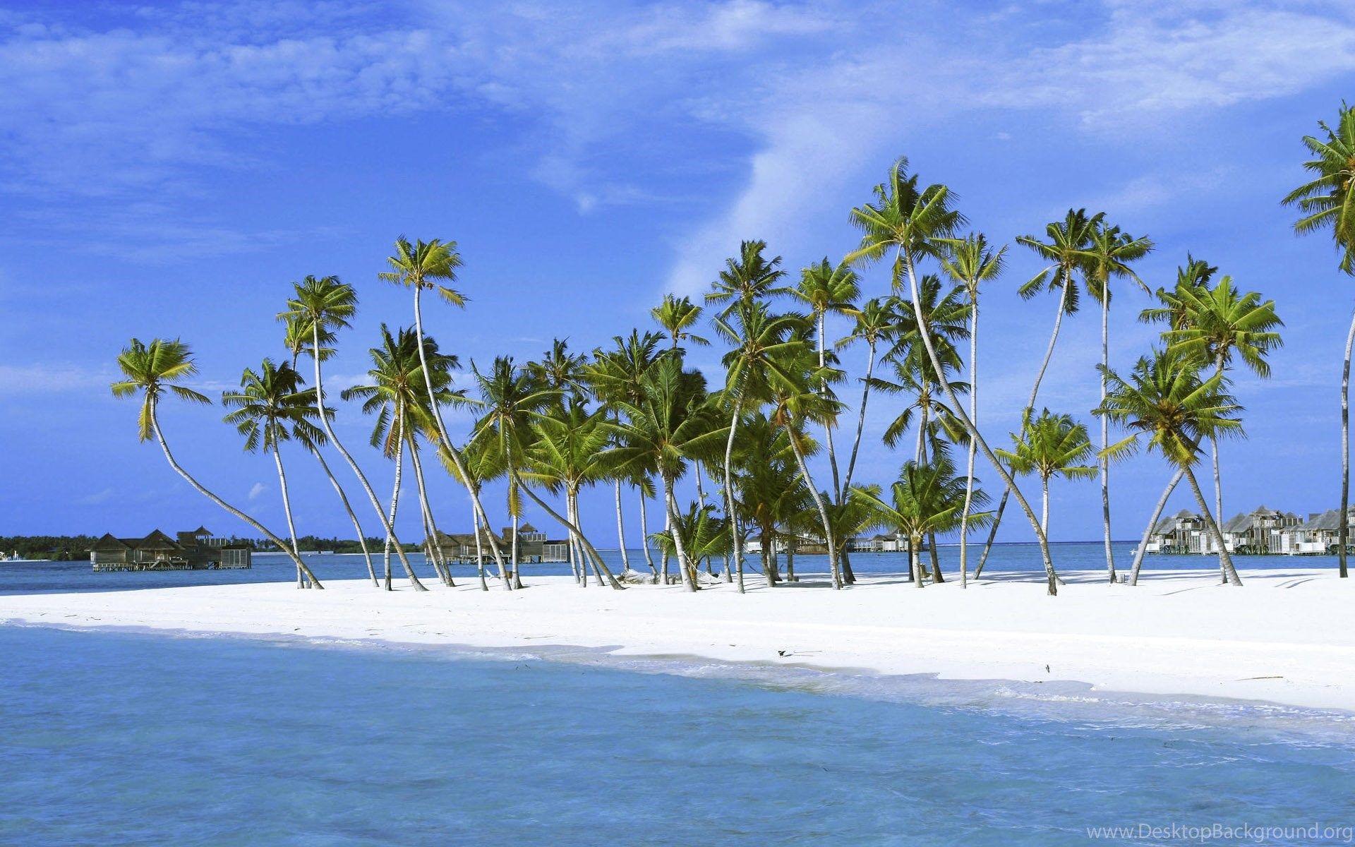 1920x1200 Indian Landscape Desktop Background Desktop Background