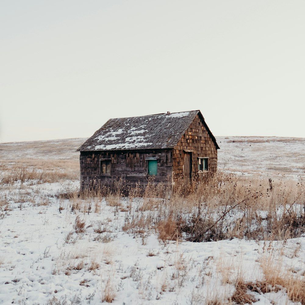 1000x1000 House in the middle of grass fields