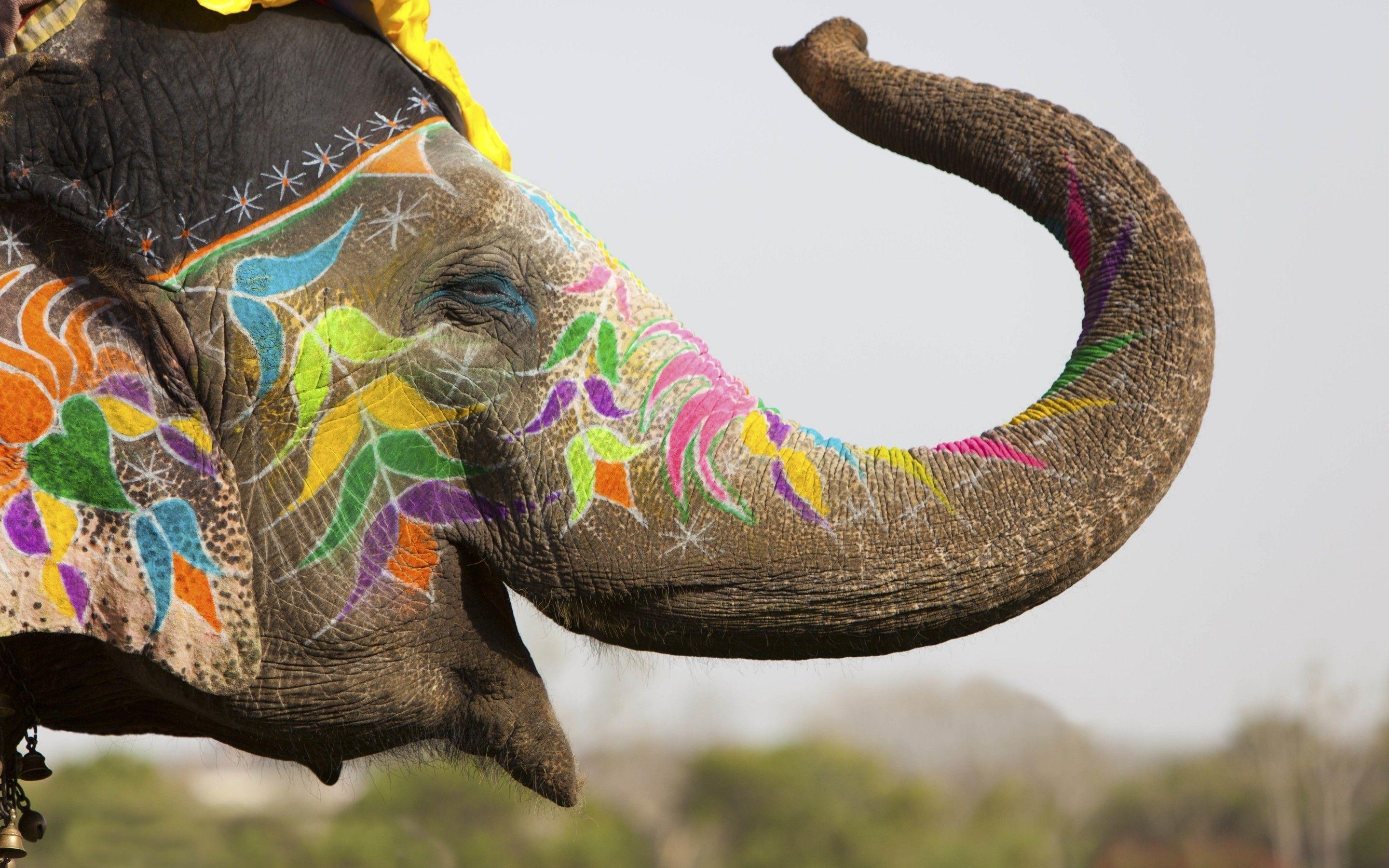 2880x1800 India Wallpaper Desktop background picture
