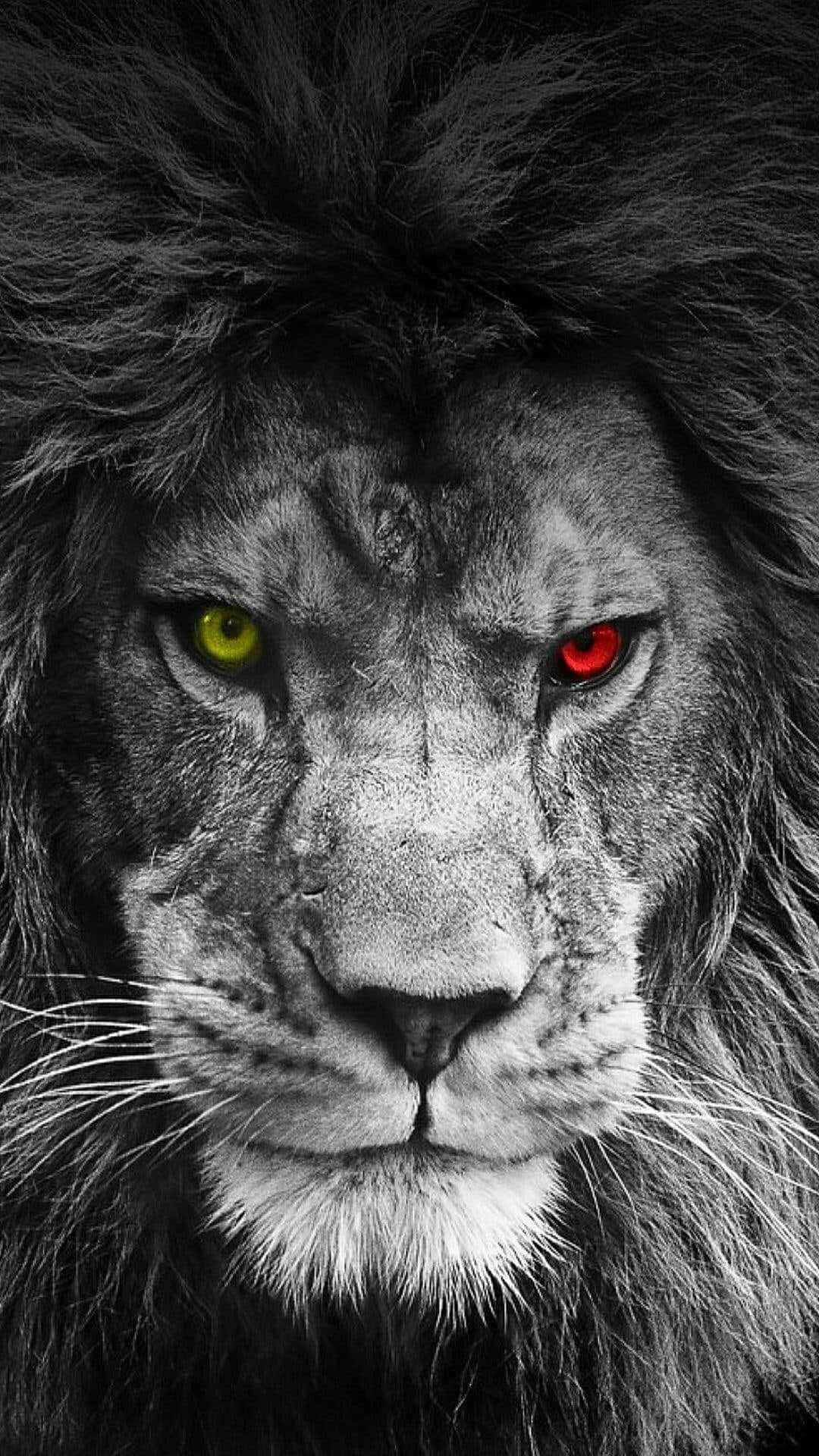 1080x1920 Download Feel free with the king of the jungle Wallpaper