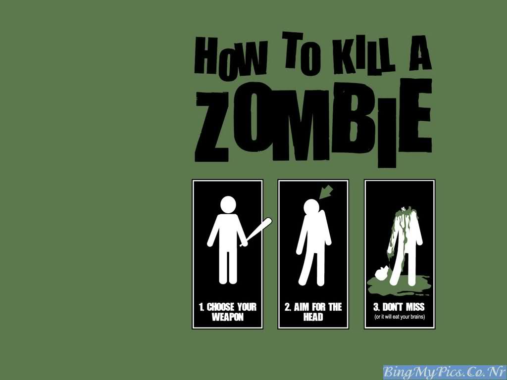 1024x768 Most Funniest Wallpaper Ever